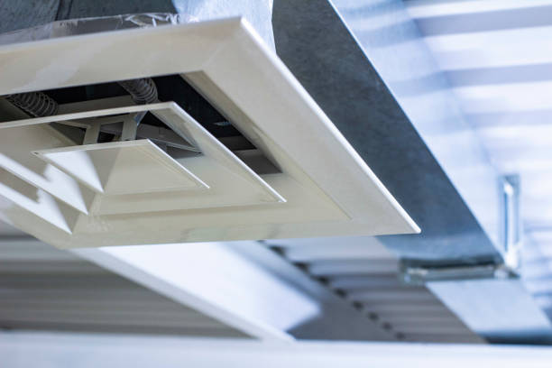 Best Professional Duct Cleaning Services  in Inez, TX